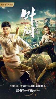 فيلم Ip Man The Awakening 2022 مترجم