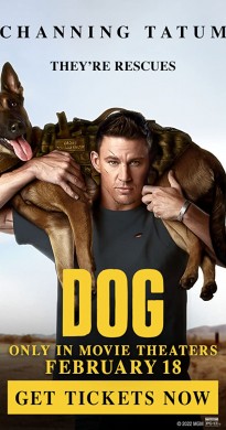 فيلم Dog 2022 مترجم