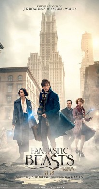 فيلم Fantastic Beasts and Where to Find Them 2016 مترجم